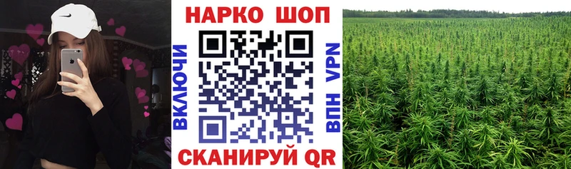 Как найти закладки Зеленогорск APVP мега рабочий сайт ГАШ Бошки Шишки Cocaine