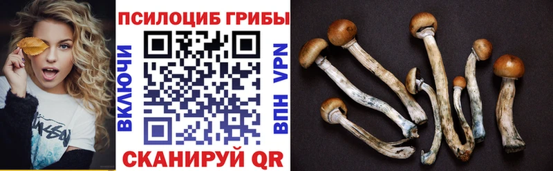 даркнет сайт  Зеленогорск  Галлюциногенные грибы MAGIC MUSHROOMS 