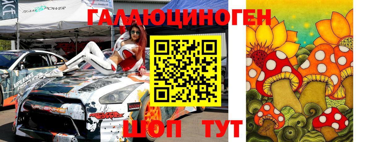 Галлюциногенные грибы Psilocybine cubensis  Вход с VPN  Зеленогорск 